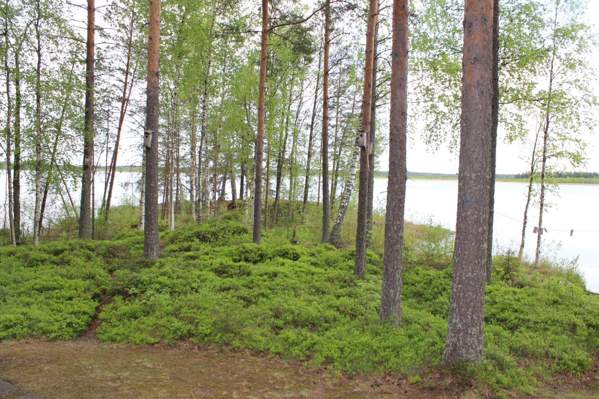 Lomamokkila Cottages Savonlinna Habitación foto